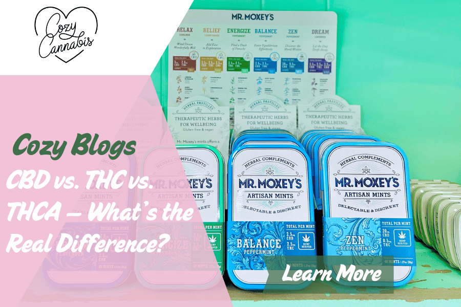 Cozy Cannabis blog header showing Mr. Moxey’s herbal mints in blue packaging with labeled product effects. Text overlay reads “CBD vs. THC vs. THCA — What’s the Real Difference?” on a colorful display.