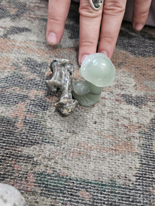 Assorted Mushroom Crystal 1/22