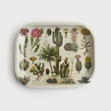 Small Metal Cactus Catchall Tray / Vintage Cacti Print