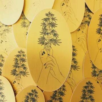 Favorite Flower Cannabis Sticker