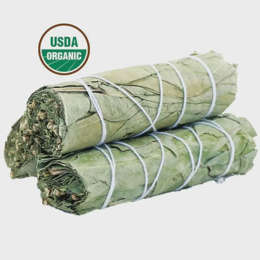 Eucalyptus Sage Smudge Stick (4in.)