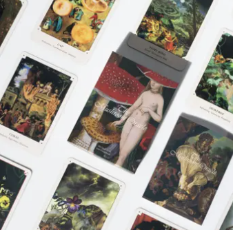 The Mushroom Oracle: 44 Card Deck and Guidebook