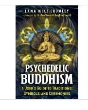 Psychedelic Buddhism: A User’S Guide To Traditions