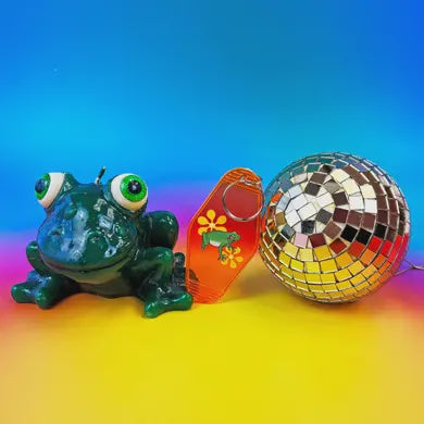 Frog Friend Coin Pouch Keychain