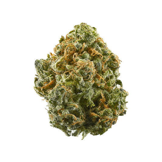 Close-up of a cannabis bud on a white background