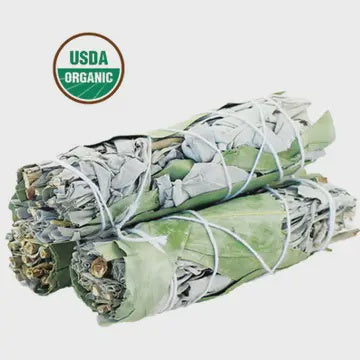 White Sage & Eucalyptus Smudge Stick (4 in.)