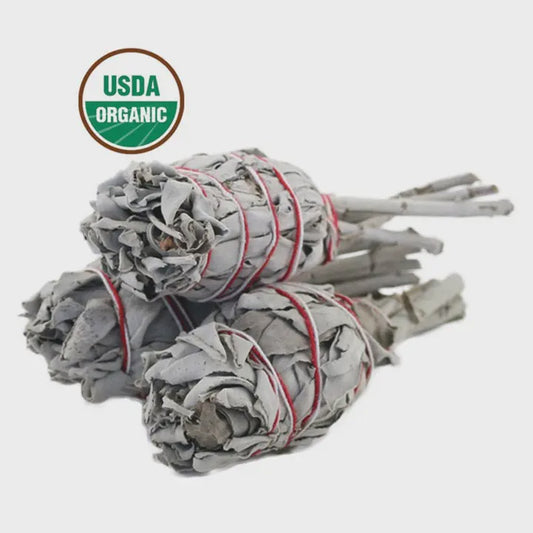 California White Sage Torch (4 in.)