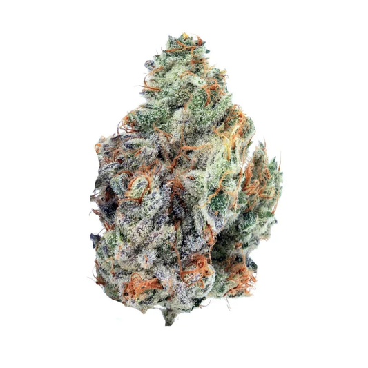 Close-up of a cannabis bud on a white background