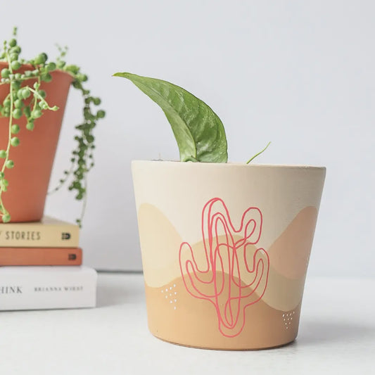 Cacti Pot