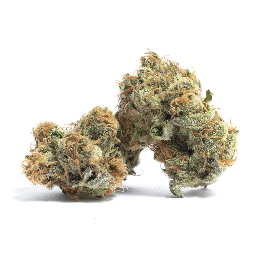 Government Oasis 26%