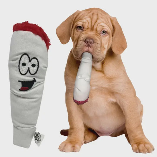 Funny Dog Toy