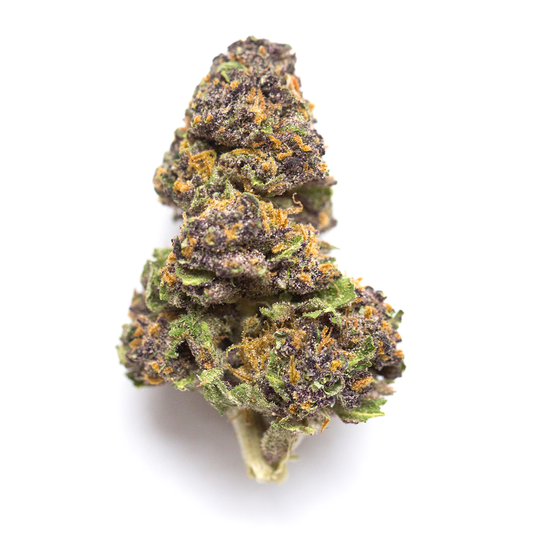 Close-up of a cannabis bud on a white background