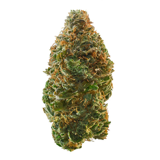 Close-up of a cannabis bud on a white background