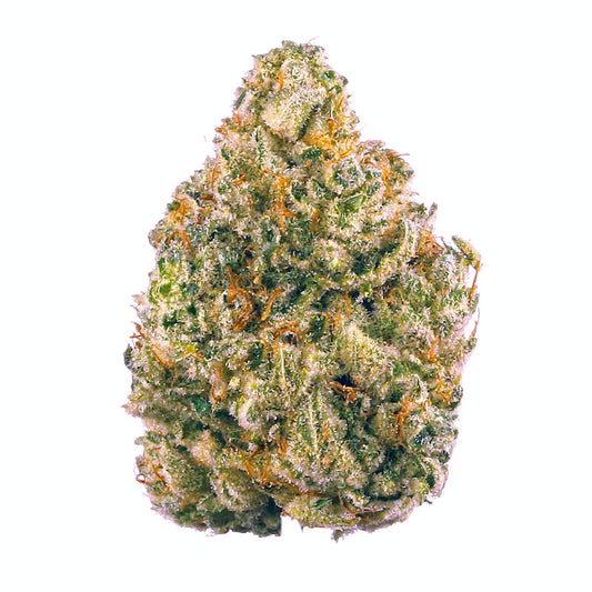 Close-up of a cannabis bud with trichomes on a white background