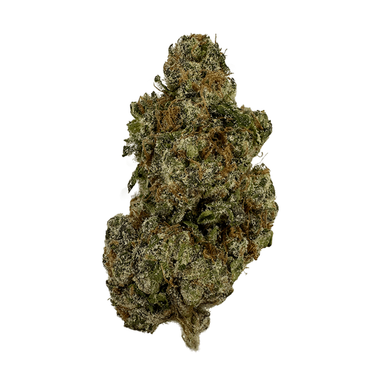 Close-up of a cannabis bud on a white background