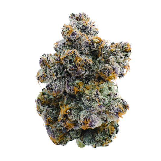 Close-up of a cannabis bud with a white background