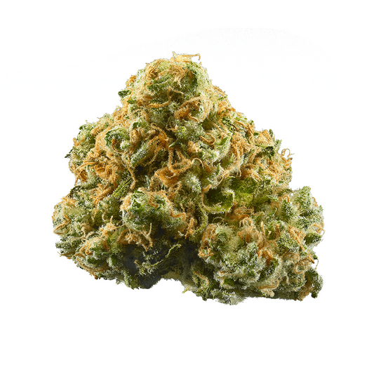 Close-up of a cannabis bud with a white background
