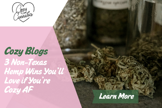 3 Non-Texas Hemp Wins You’ll Love if You’re Cozy AF