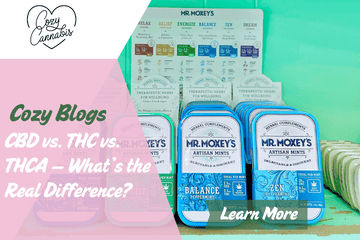 Cozy Cannabis blog header showing Mr. Moxey’s herbal mints in blue packaging with labeled product effects. Text overlay reads “CBD vs. THC vs. THCA — What’s the Real Difference?” on a colorful display.