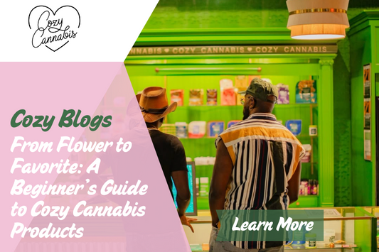 From Flower to Favorite: A Beginner’s Guide to Cozy Cannabis Products