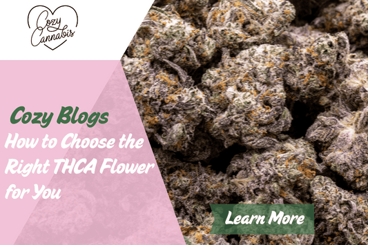 Close-up of dense purple THCA hemp flower buds, with overlay text reading 'Cozy Blogs – How to Choose the Right THCA Flower for You' and Cozy Cannabis branding.