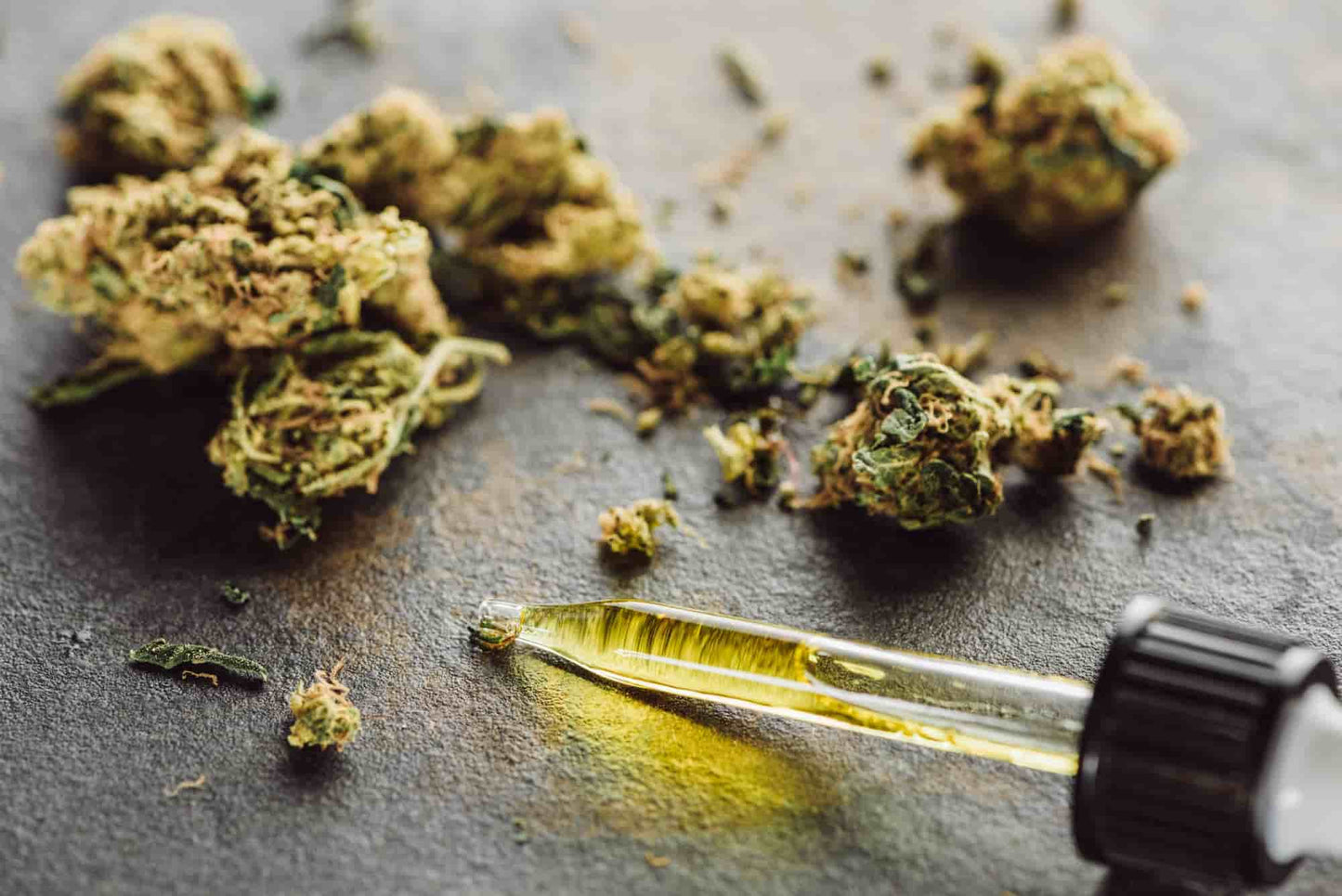 Microdosing with Hemp: A Cozy Beginner’s Guide