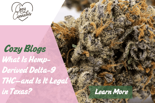 Close-up of frosty hemp buds with Cozy Cannabis blog graphic overlay that reads “What Is Hemp-Derived Delta-9 THC—and Is It Legal in Texas?” and a green button labeled “Learn More.”