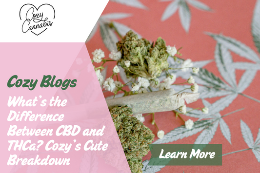 What’s the Difference Between CBD and THCa? Cozy’s Cute Breakdown