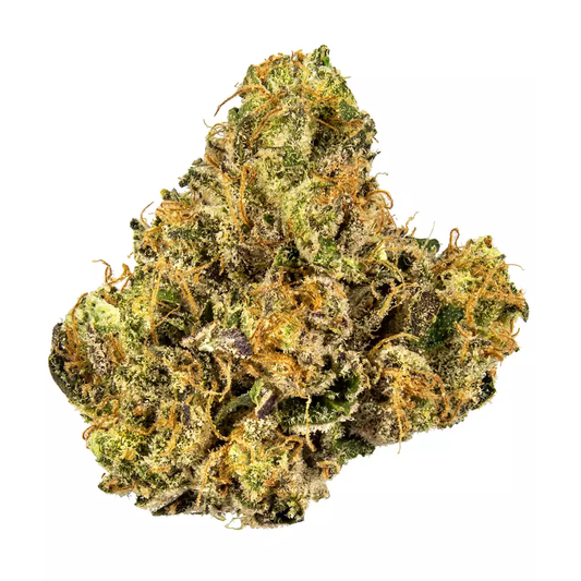 Gelato Cake 23%
