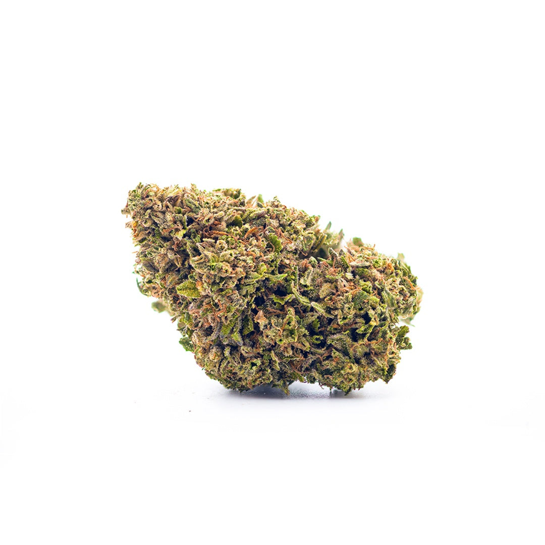Close-up of a cannabis bud on a white background