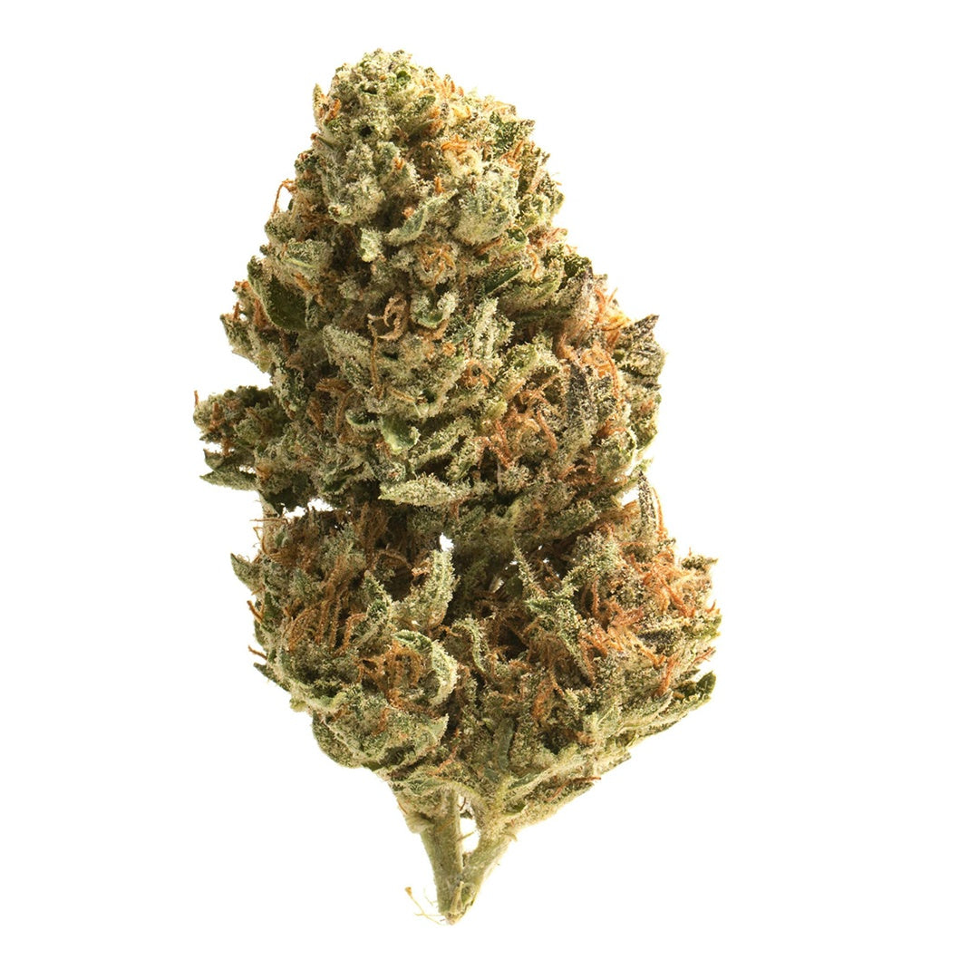 Close-up of a cannabis bud on a white background
