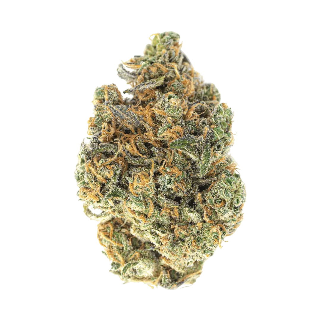 Close-up of a cannabis bud on a white background