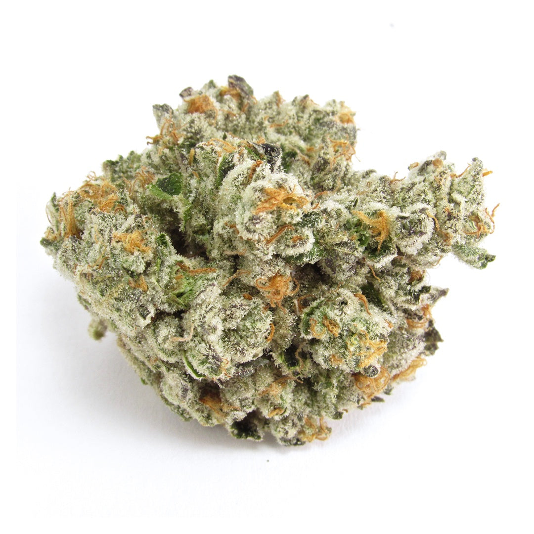 Close-up of a cannabis bud on a white background