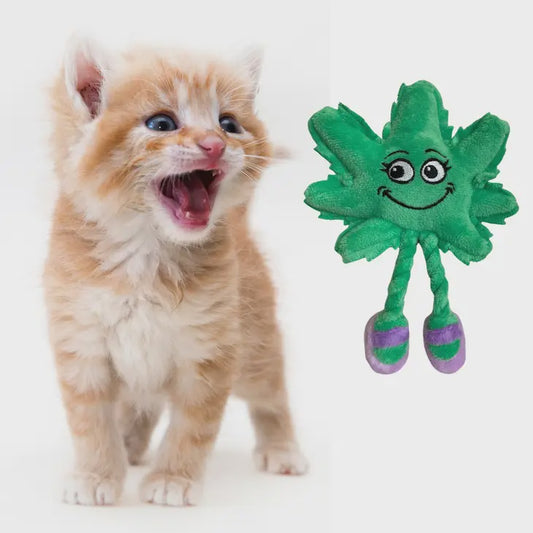 Funny Cat Toy