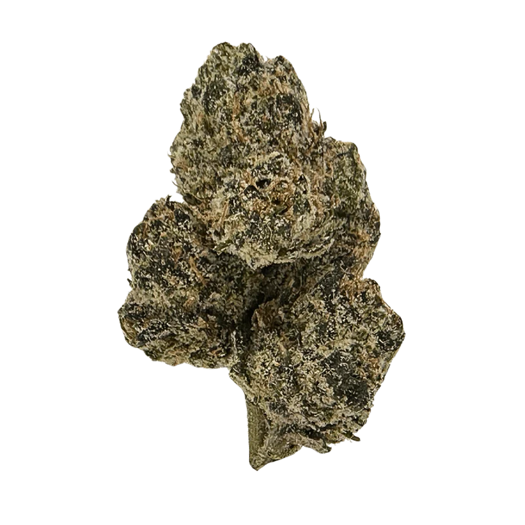 Jet Fuel Runtz 31%