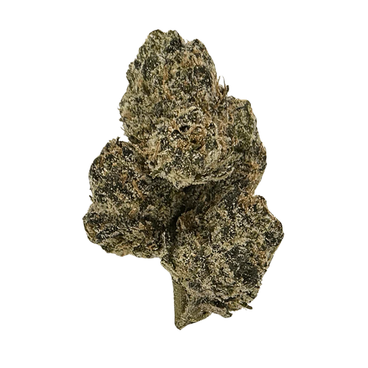 Jet Fuel Runtz 31%
