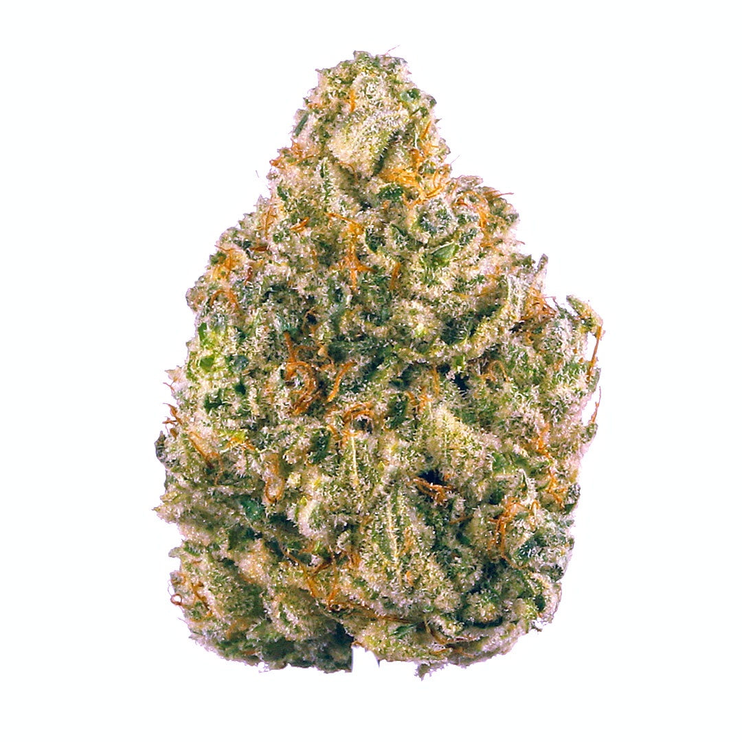 Close-up of a cannabis bud with trichomes on a white background
