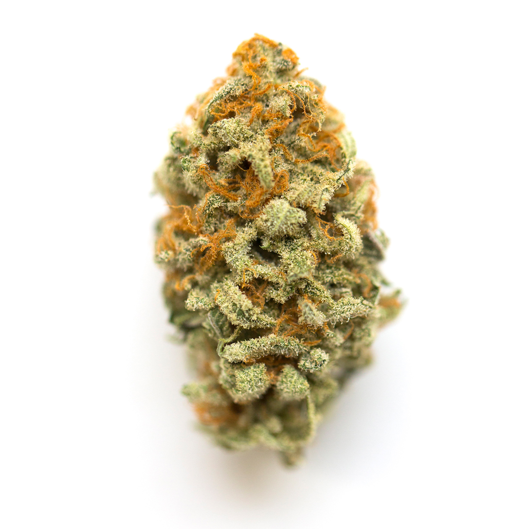 Close-up of a cannabis bud on a white background