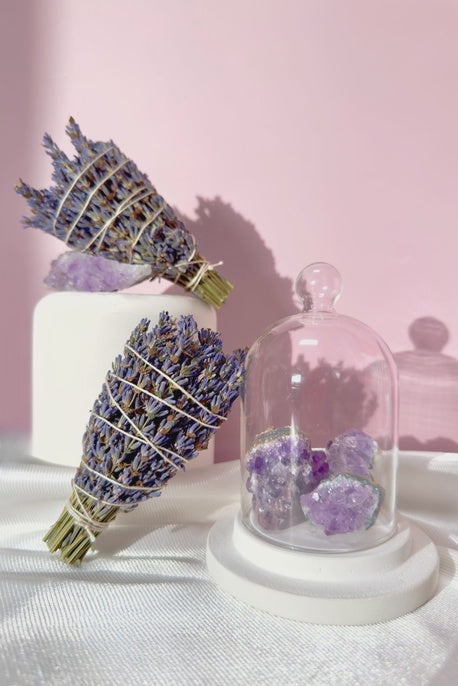 Mini Lavender