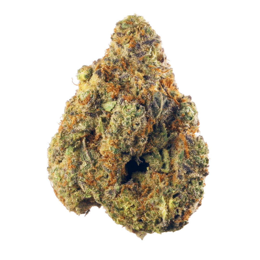 Close-up of a cannabis bud on a white background