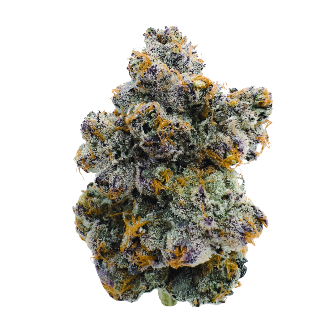 Close-up of a cannabis bud with a white background