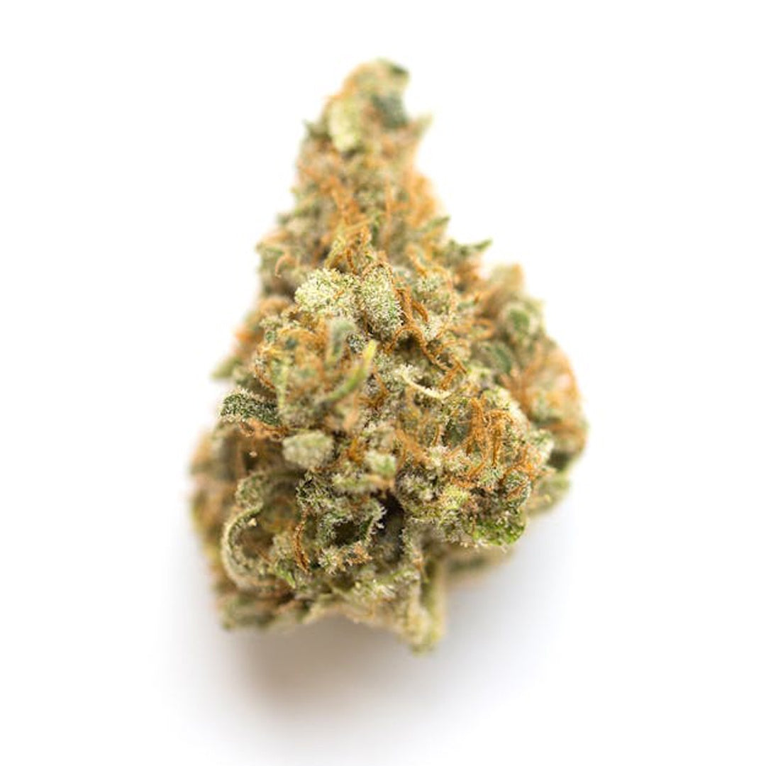 Close-up of a cannabis bud on a white background