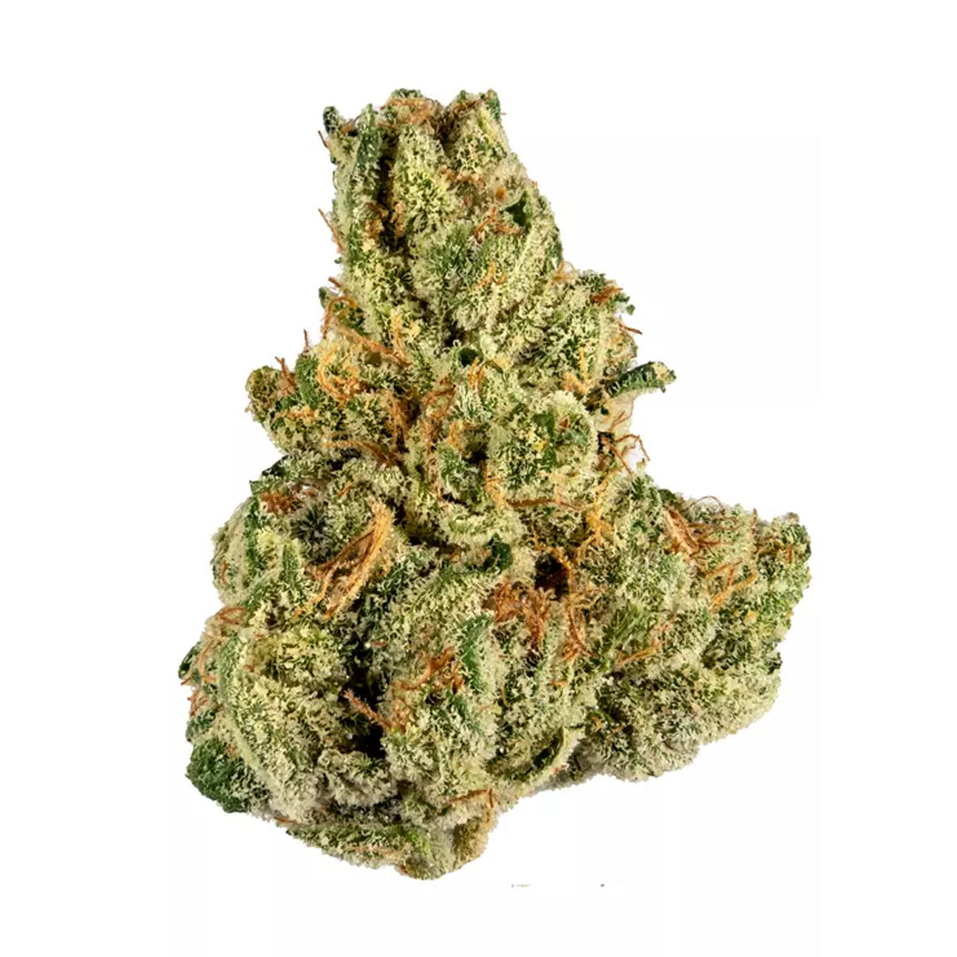 Tropicana 31%