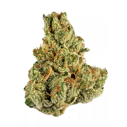 Tropicana 31%