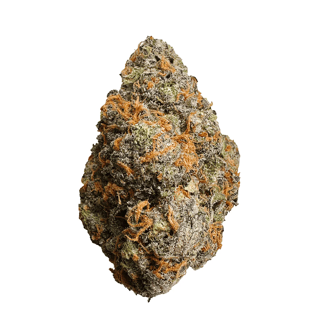 Close-up of a cannabis bud with orange and green colors on a white background
